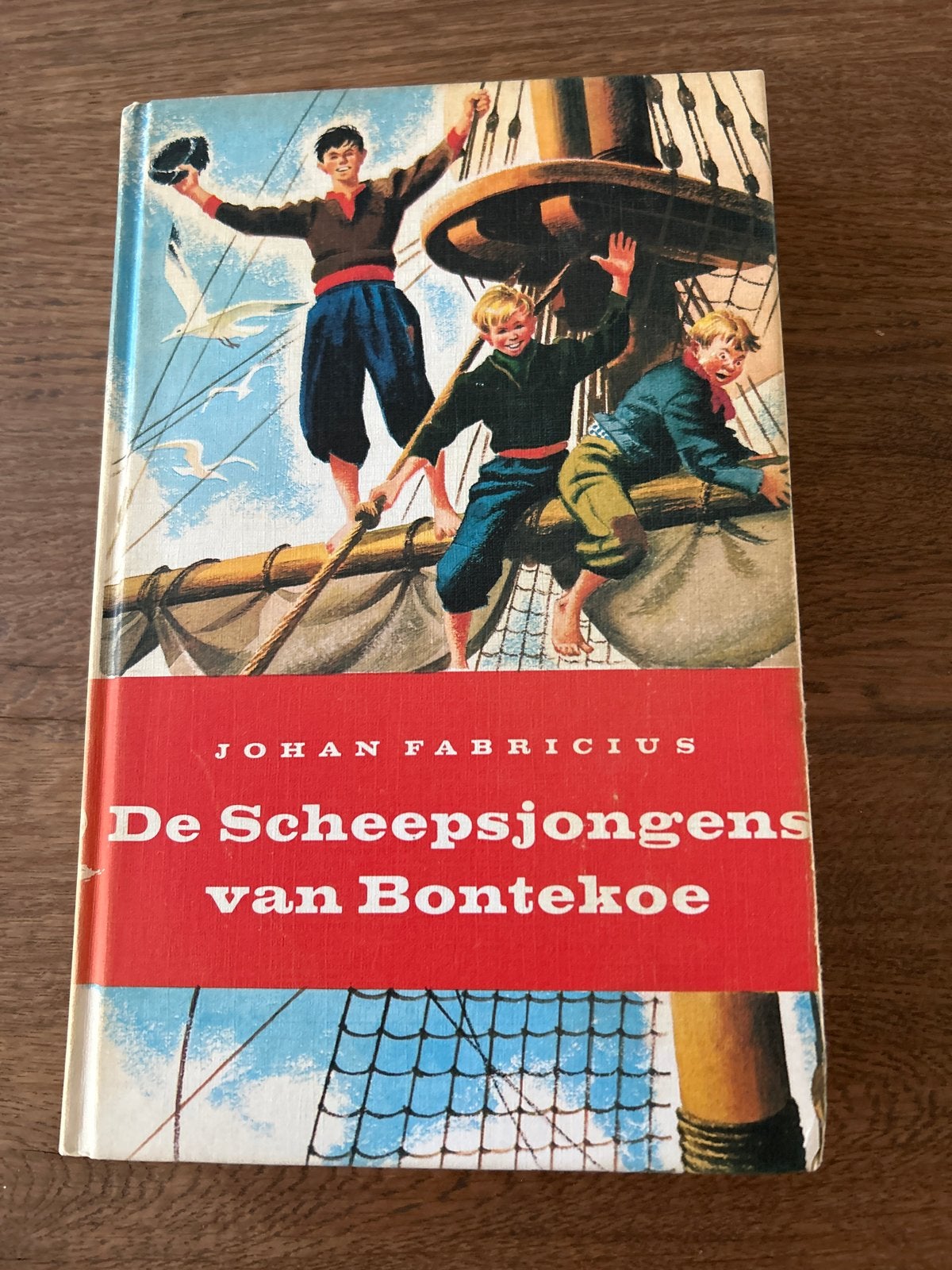 De Scheepsjongens van Bontekoe - Johan Fabricius, Ophalen of Verzenden, Gelezen, Fictie algemeen