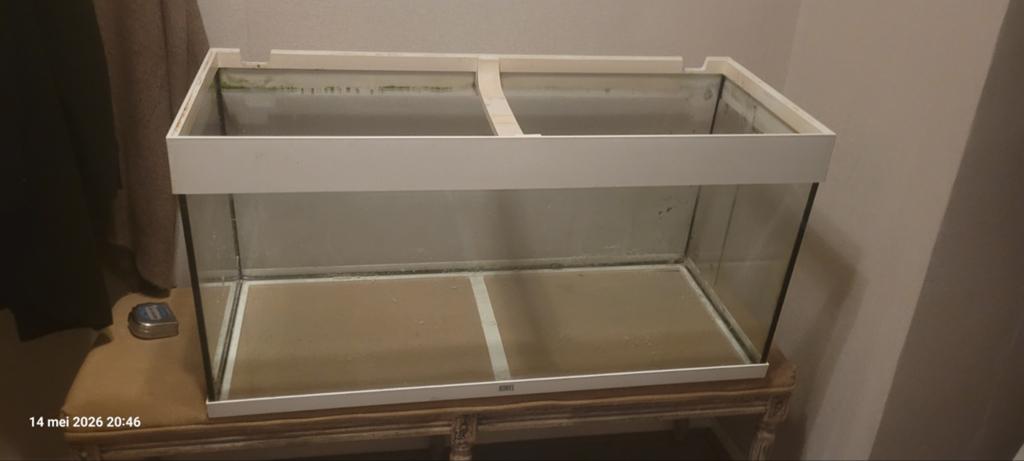 Juwel 180L aquarium, Dieren en Toebehoren, Vissen | Aquariumvissen, Vis
