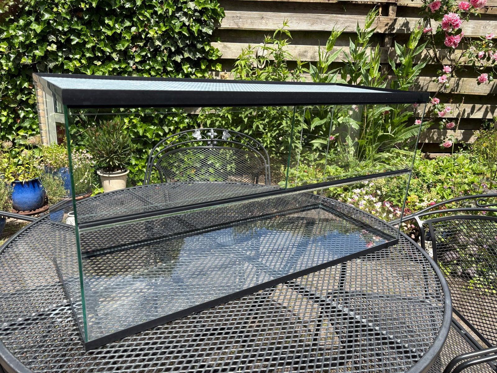Hamsterhok glas / terrarium met schuifdeurtjes 80x40x30 cm, Dieren en Toebehoren, Knaagdieren en Konijnen | Hokken en Kooien, Zo goed als nieuw