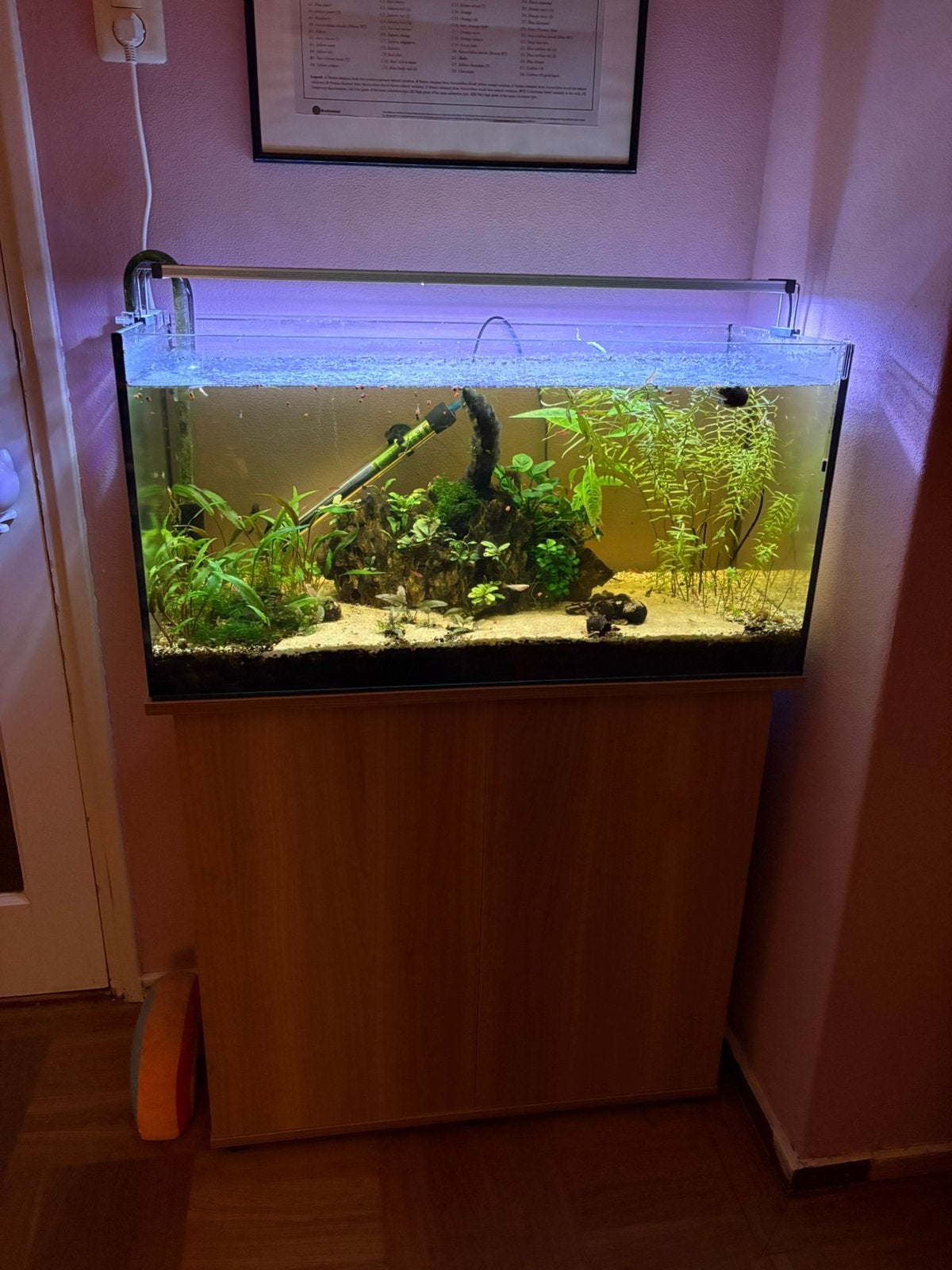 Entire Aquarium and aquascaping accessories, Ophalen, Gebruikt, Pomp, Overige merken