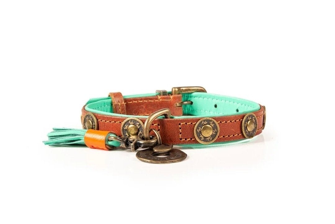 Halsband Urban - Dog With a Mission, Dieren en Toebehoren, Overige merken, Ophalen of Verzenden, Nieuw, Halsband