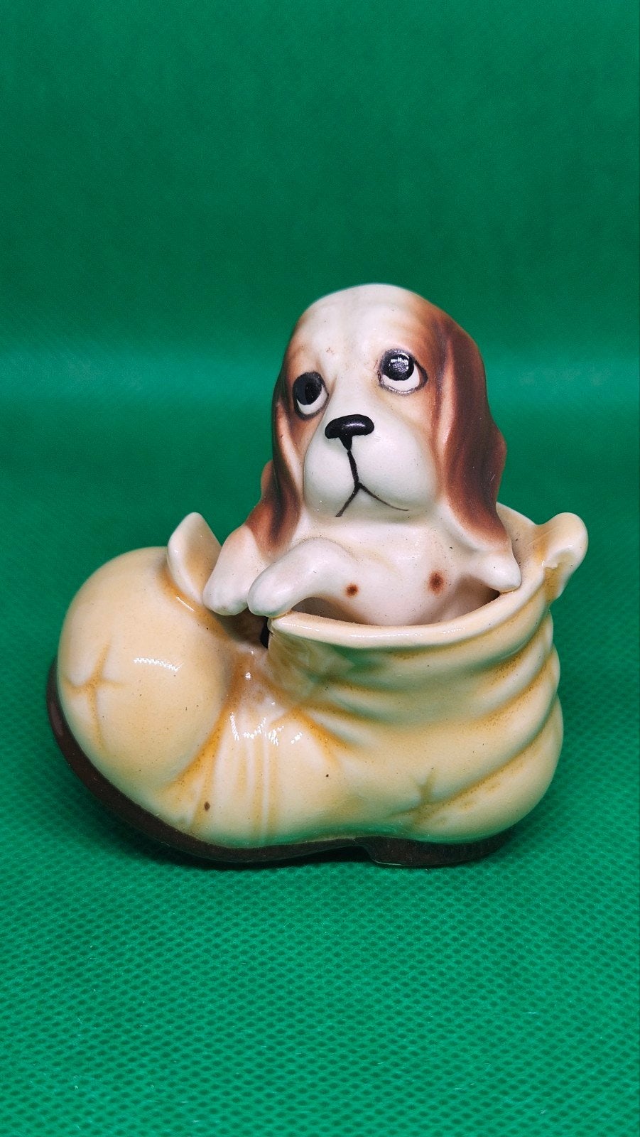 Hondje in schoen, Ophalen of Verzenden, Zo goed als nieuw, Dier