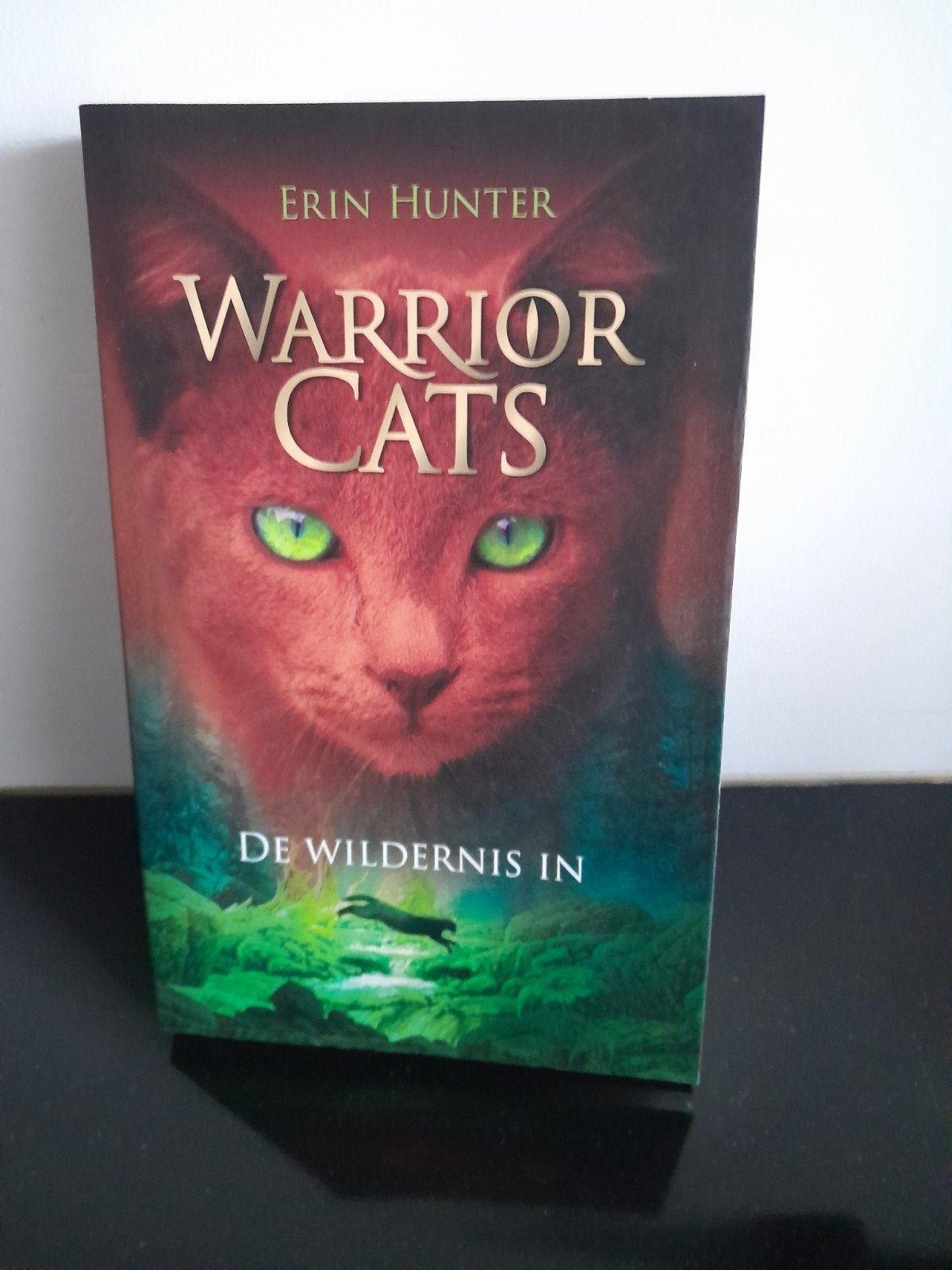 Warrior Cats: De Wildernis In - Gelezen, prima staat, Ophalen of Verzenden, Gelezen, Erin Hunter