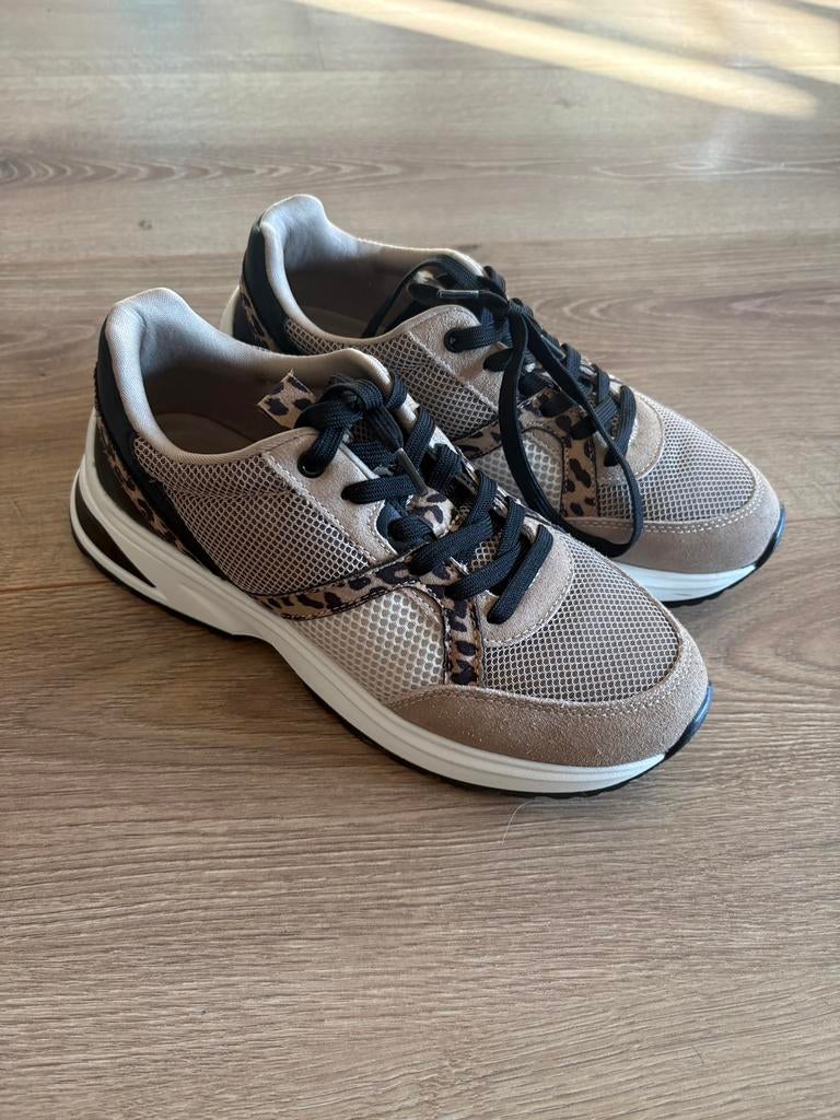 Cellini schoenen, Ophalen of Verzenden, Zo goed als nieuw, Overige typen, Overige merken