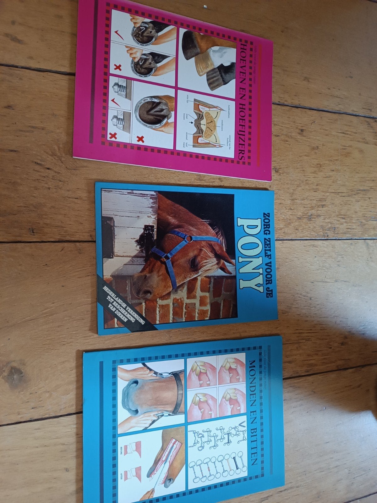 paarden informatie boekjes, Ophalen of Verzenden, Zo goed als nieuw, Paarden of Pony's