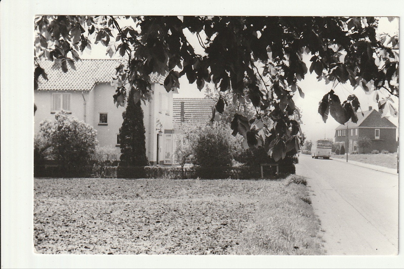 ZEDDAM MONTFERLAND OUDE DOETINCHEMSEWEG BOMEN TOURINGCAR BUS, Ophalen of Verzenden, 1960 tot 1980, Ongelopen, Gelderland