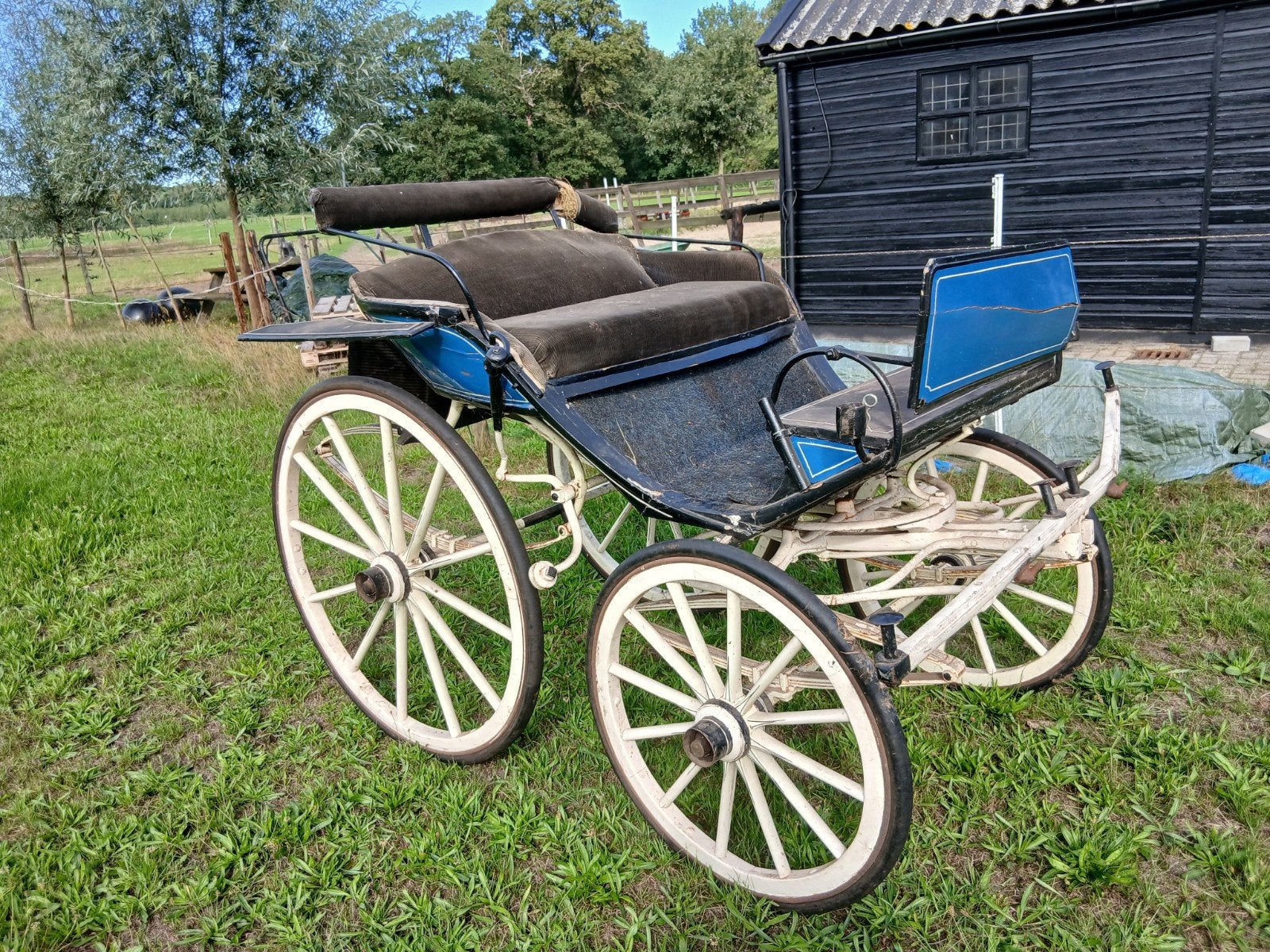 rijtuig, koets antiek, Gebruikt, Overige typen, Paard of Pony