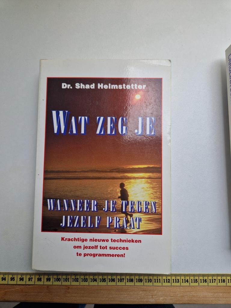 S. Helmstetter - Wat zeg je wanneer je tegen jezelf praat, Ophalen of Verzenden, Zo goed als nieuw, S. Helmstetter