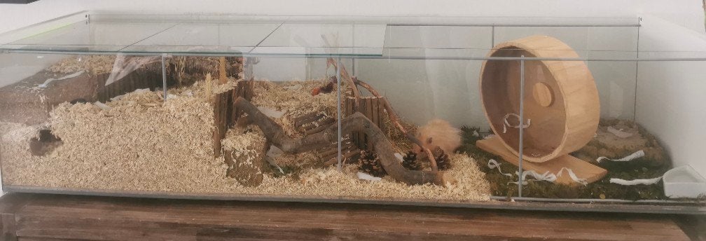Ikea Detolf Vitrinekast - ideaal voor hamsterscaping, Dieren en Toebehoren, Knaagdieren en Konijnen | Hokken en Kooien, Ophalen