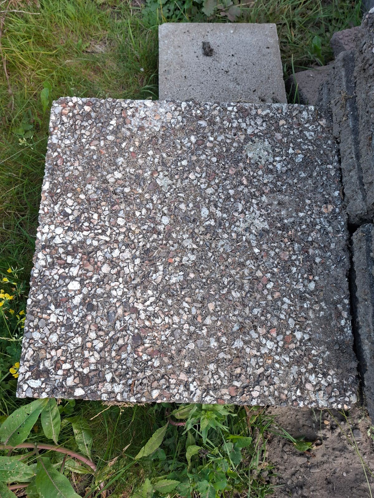 Gratis gebruikte tegels, Tuin en Terras, Ophalen, Gebruikt, 10 m² of meer, Beton