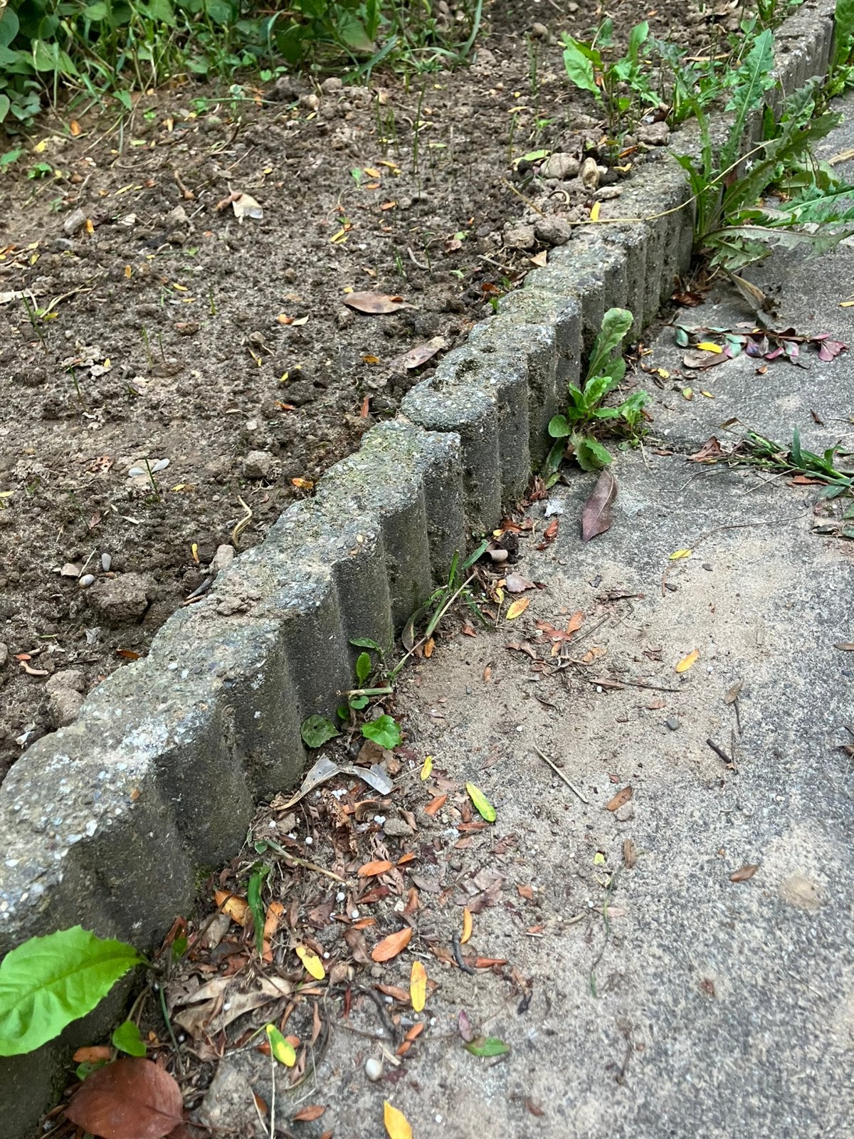 Palissade opsluitband 67x6 , 25cm hoog 20 stuks, Tuin en Terras, Ophalen, Gebruikt, 25 tot 50 cm, Minder dan 25 cm