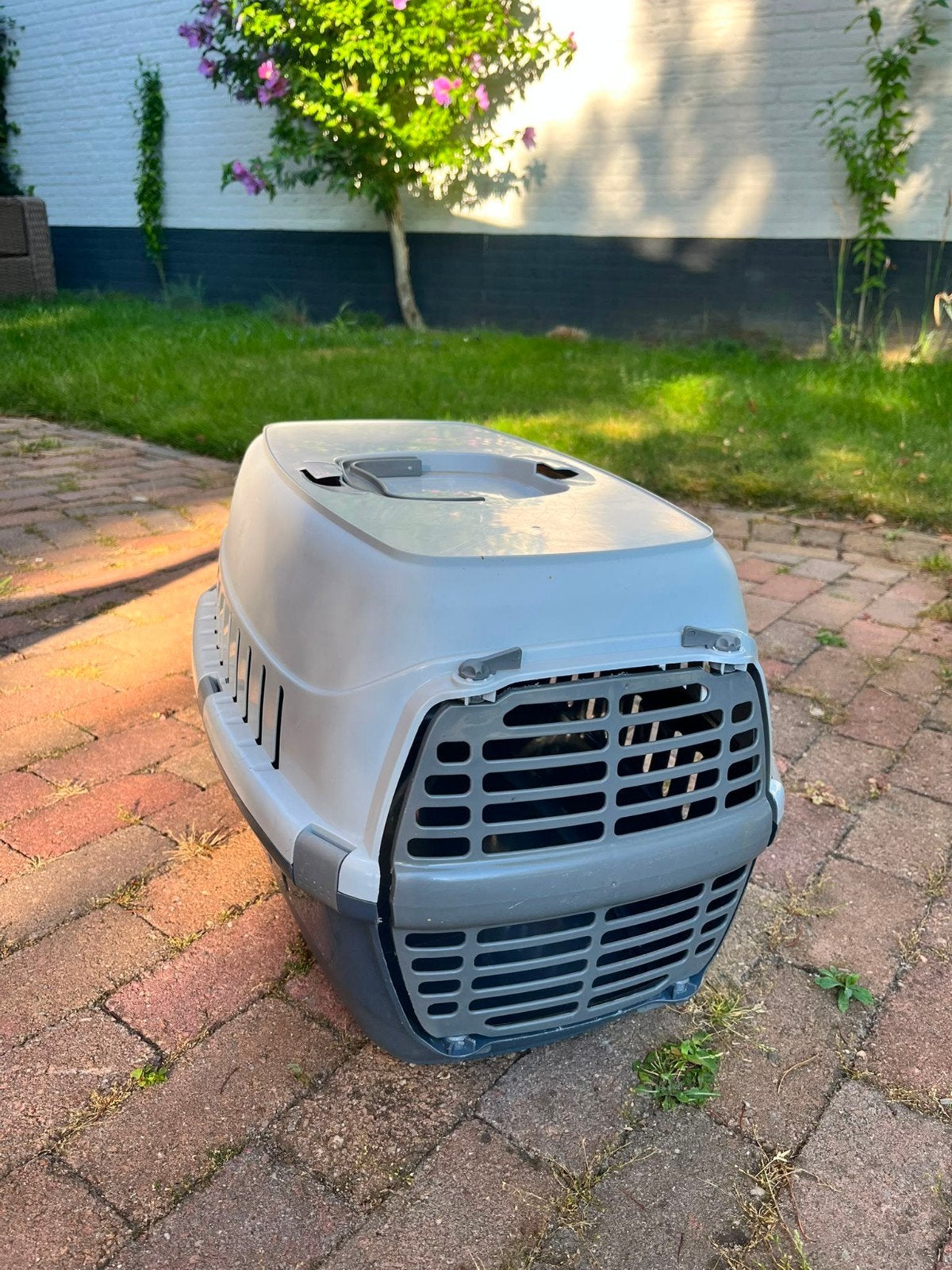Vervoersbox (reismand) voor konijnen / knaagdieren / katten, Dieren en Toebehoren, Ophalen