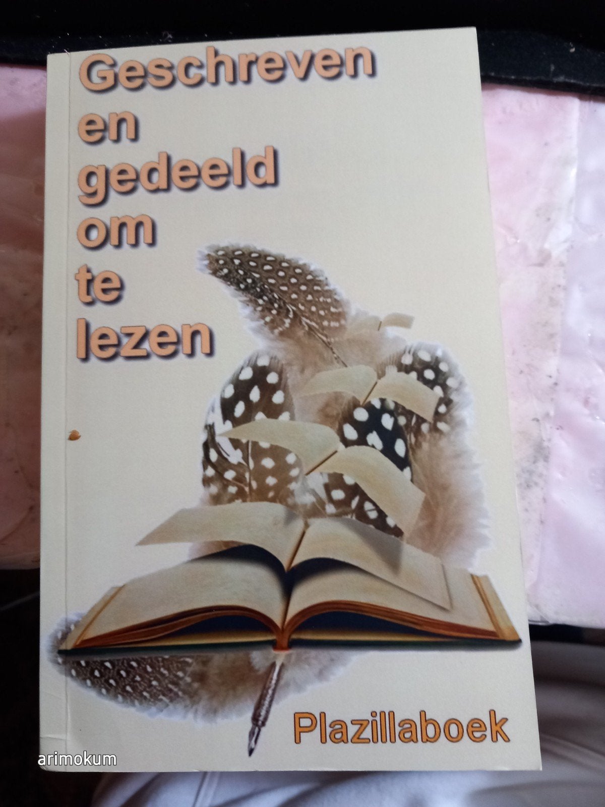 De Plazilla Bende - Plazillaboek, Boeken, Ophalen of Verzenden, Zo goed als nieuw, De Plazilla Bende