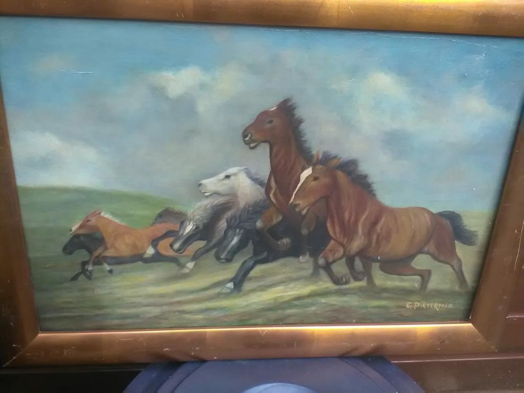 Paarden schilderij op doek oud, Ophalen of Verzenden