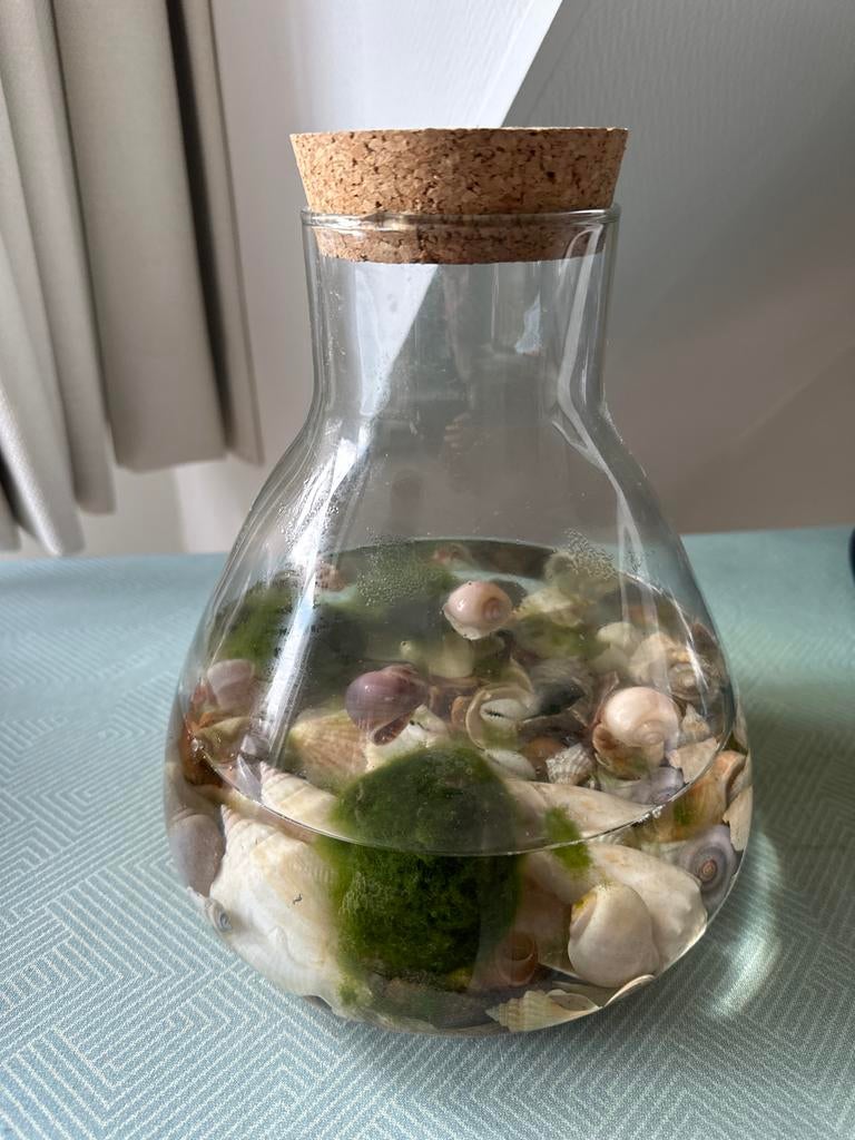 Decoratieve glazen fles met schelpen en kurk, Ophalen of Verzenden, Zo goed als nieuw