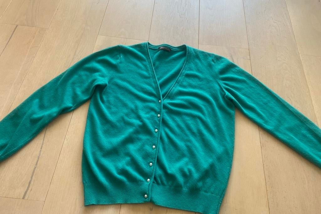 Roberto sarto L merino wol nieuwstaat, Kleding | Dames, Truien en Vesten, Ophalen of Verzenden, Zo goed als nieuw, Maat 42/44 (L)