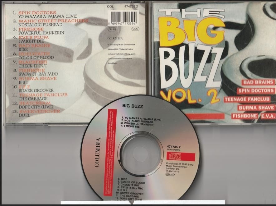 The Big Buzz Vol. 2 - Verzamelalbum, Cd's en Dvd's, Cd's | Verzamelalbums, Ophalen of Verzenden, Gebruikt, Rock en Metal