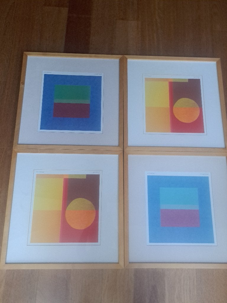 Schilderijen, Huis en Inrichting, Woonaccessoires | Schilderijen, Tekeningen en Foto's, Ophalen, Minder dan 50 cm, Zo goed als nieuw