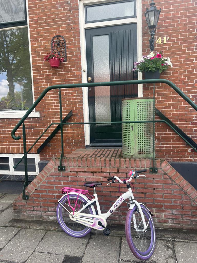 Alpina  meisjesfiets 22 inch., Ophalen, Terugtraprem, 22 inch, Gebruikt