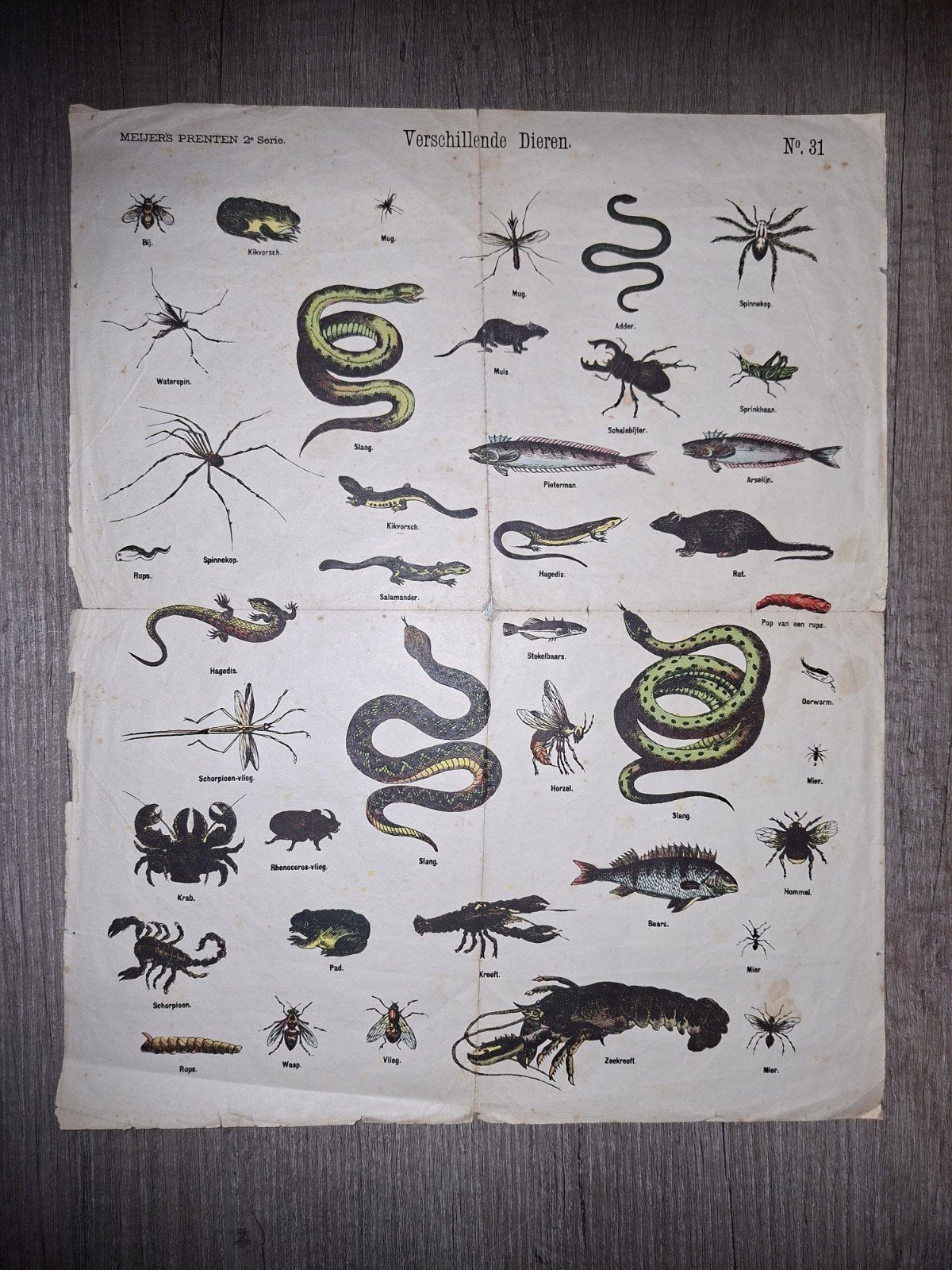 Meijers Prenten Verschillende Dieren No.31 (ca. 19, Antiek en Kunst, Ophalen of Verzenden