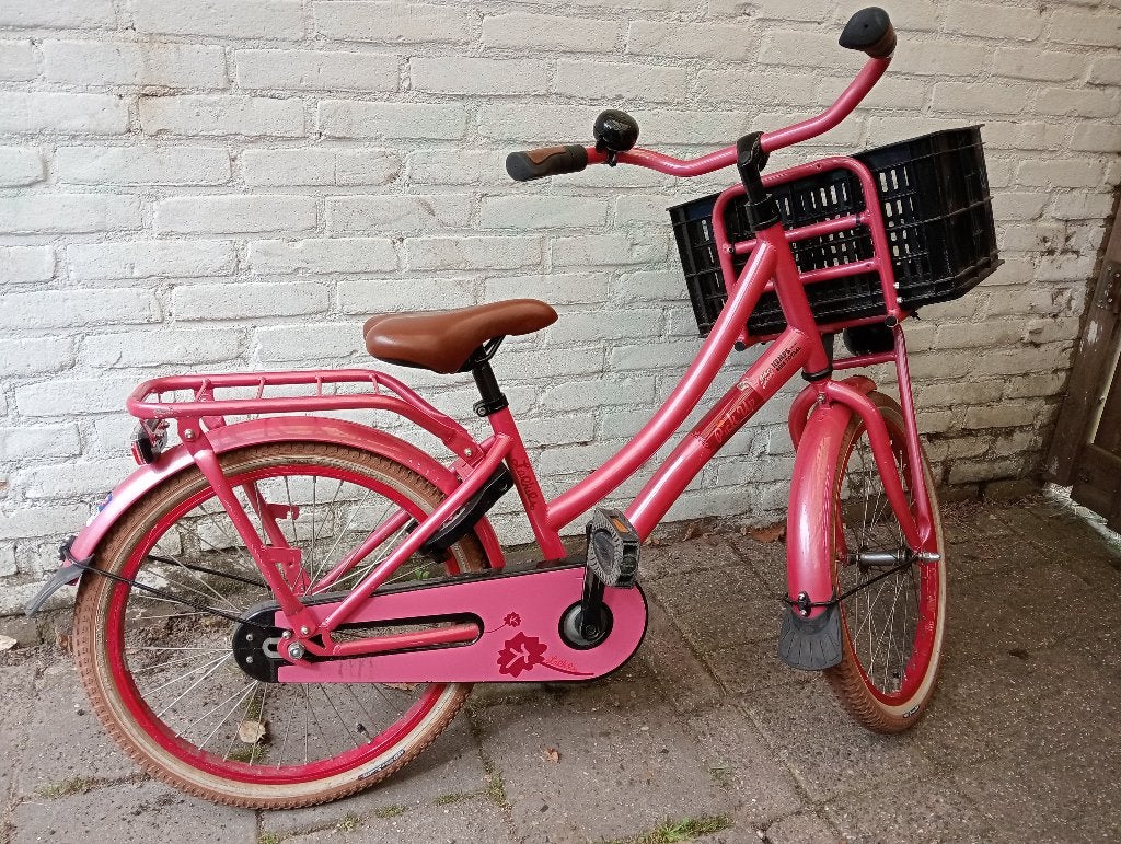 Loeki pick-up 20 inch kinderfiets, Ophalen, Loekie, Zo goed als nieuw, Terugtraprem