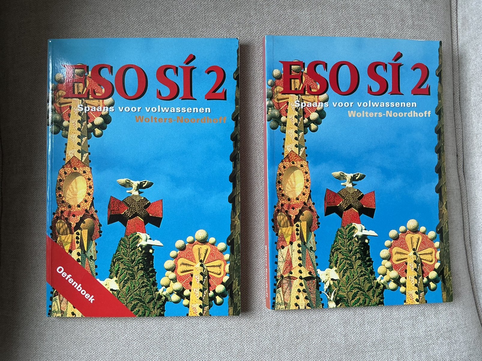 ESO SI deel 2 Spaans Oefenboek en Grammaticaboek nieuw, Boeken, Ophalen of Verzenden, Alpha, Nieuw