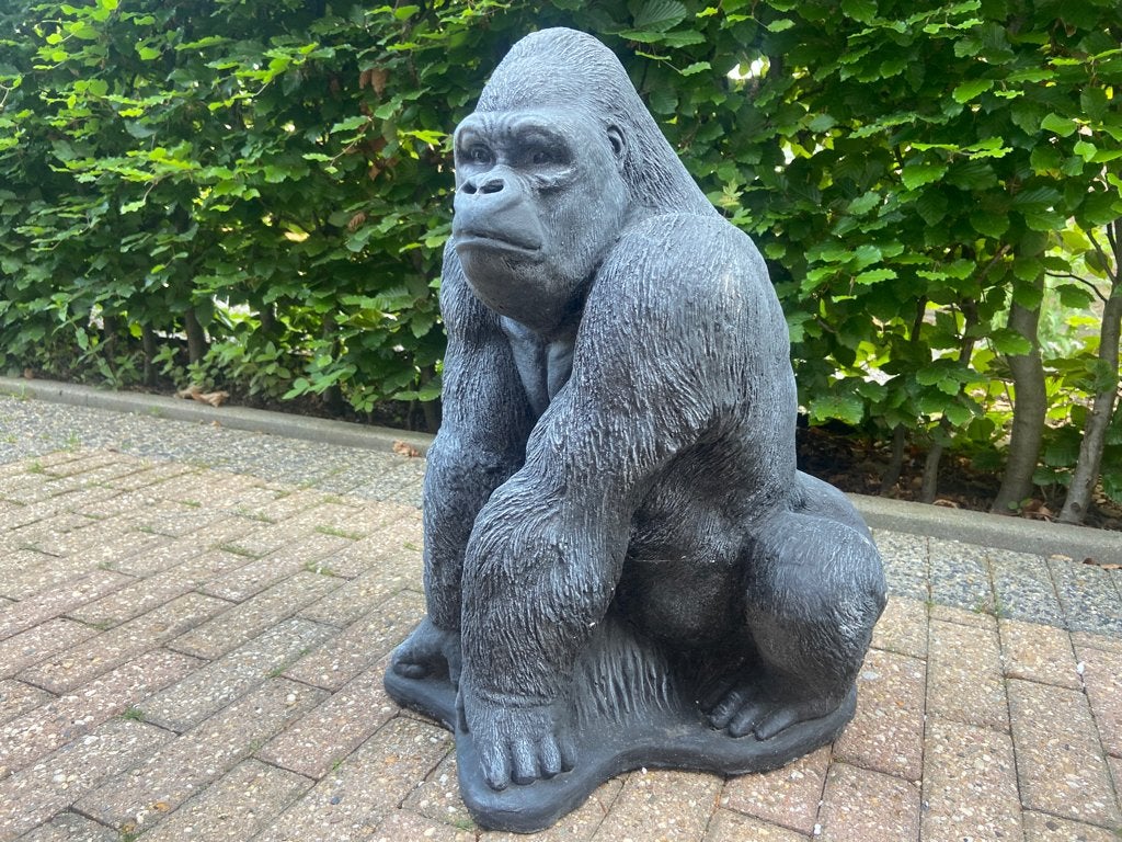 Gorilla, hoogte 64cm , 90kg, Tuin en Terras, Tuinbeelden, Ophalen, Nieuw, Beton, Dierenbeeld