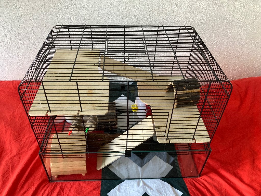 Hamsterkooi, Kooi, Gebruikt, Minder dan 75 cm, Hamster