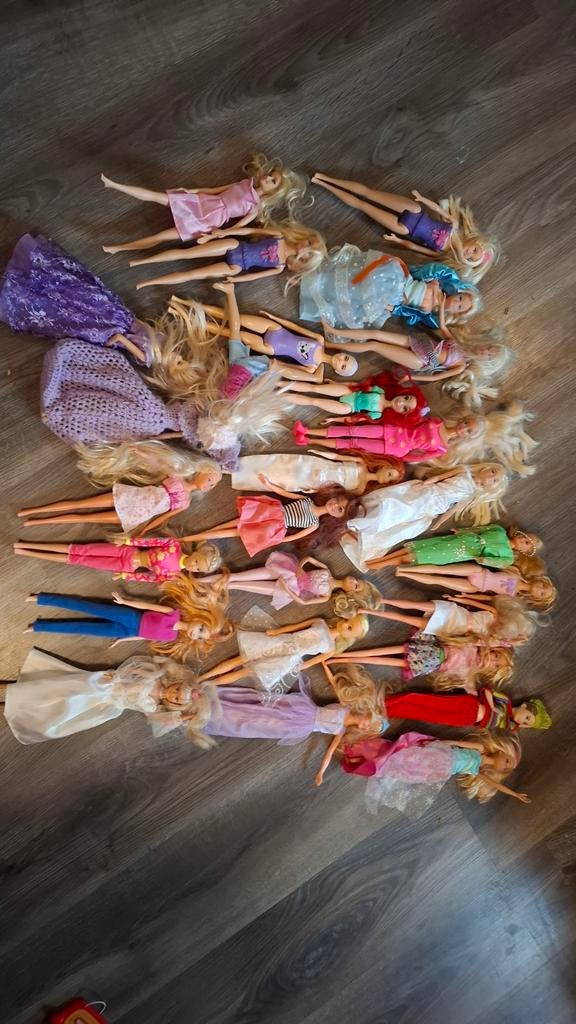Grote partij oude barbie's, Ophalen