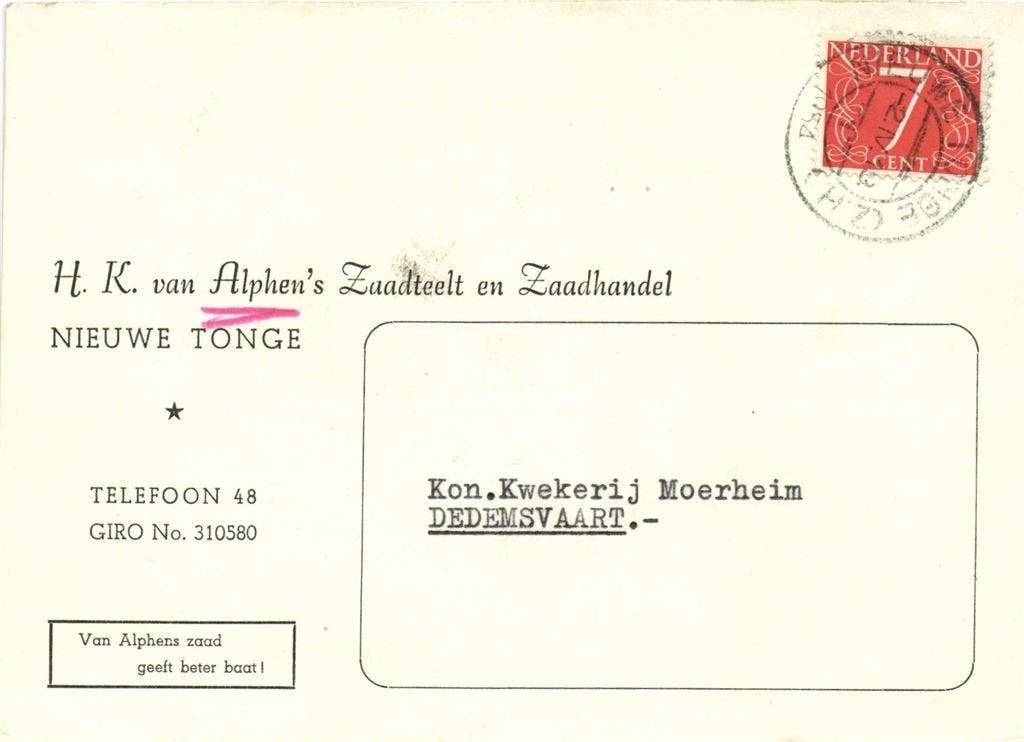 H.K. van Alphen, Zaadteelt en Zaadhandel, Nieuwe Tonge - 04., Ophalen of Verzenden, Briefkaart