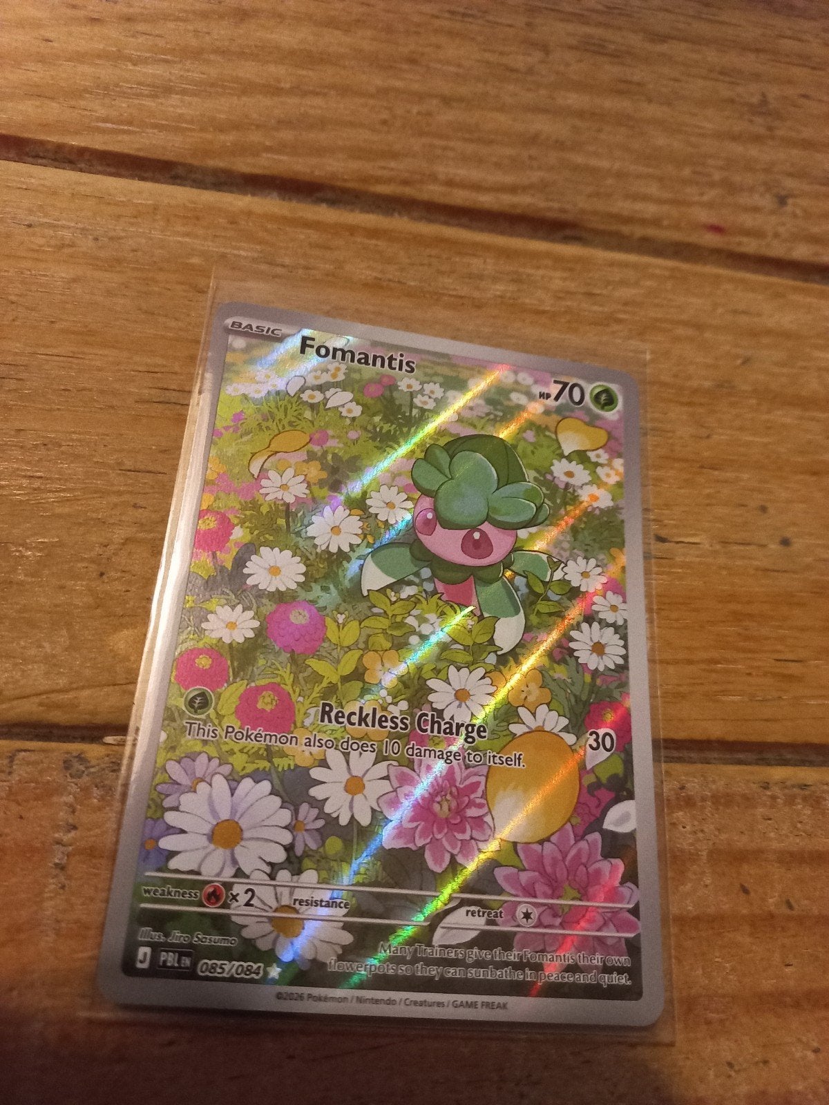 Formantis 85/84, Ophalen of Verzenden, Nieuw, Losse kaart, Foil