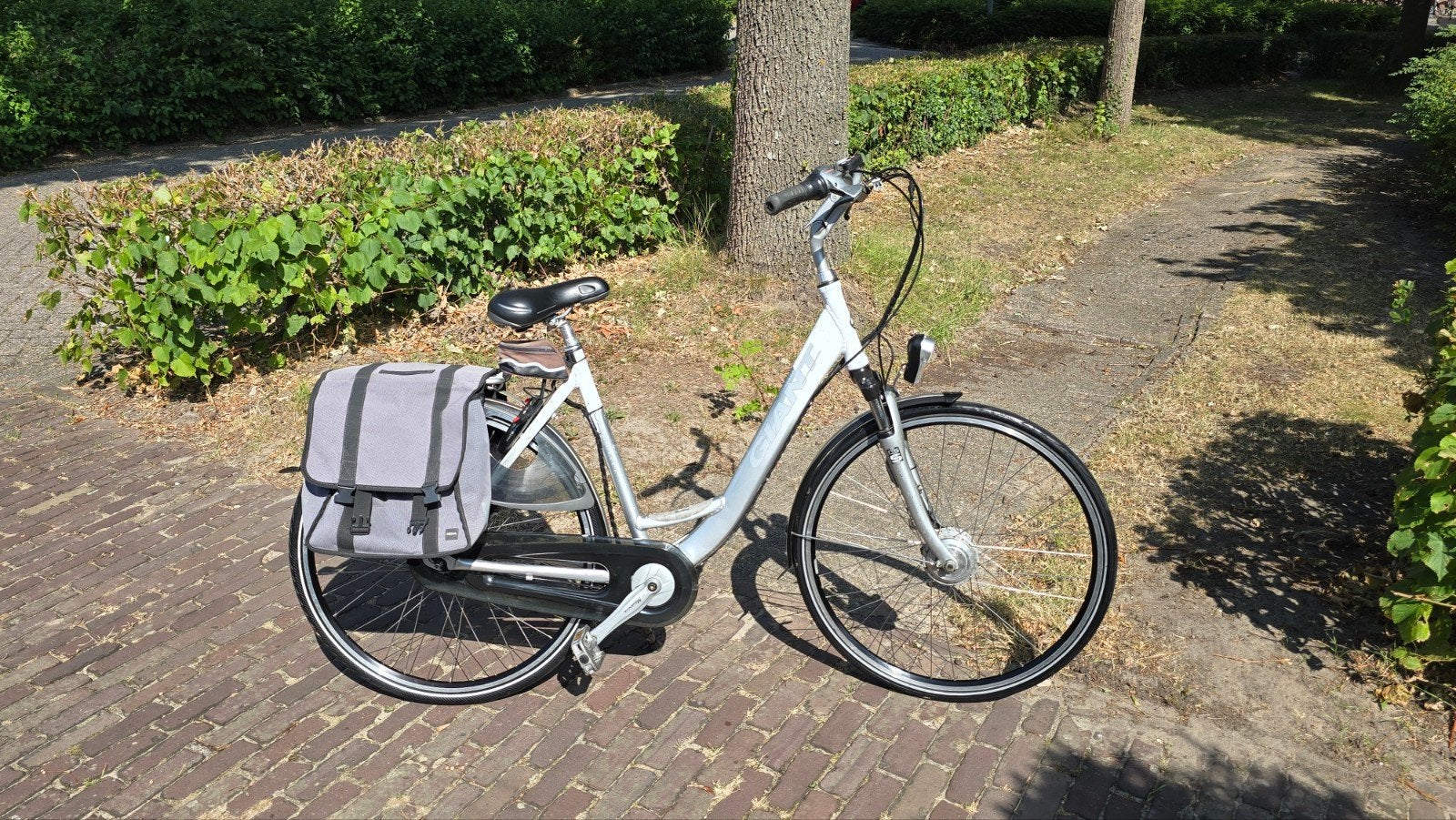 Elektrische Giant, Fietsen en Brommers, Ophalen, Versnellingen, Giant, 53 tot 56 cm