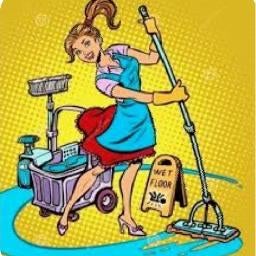 SCHOONMAAKHULP BESCHIKBAAR, Vacatures, Vacatures | Schoonmaak en Facilitaire diensten, Vanaf 5 jaar, Overige vormen