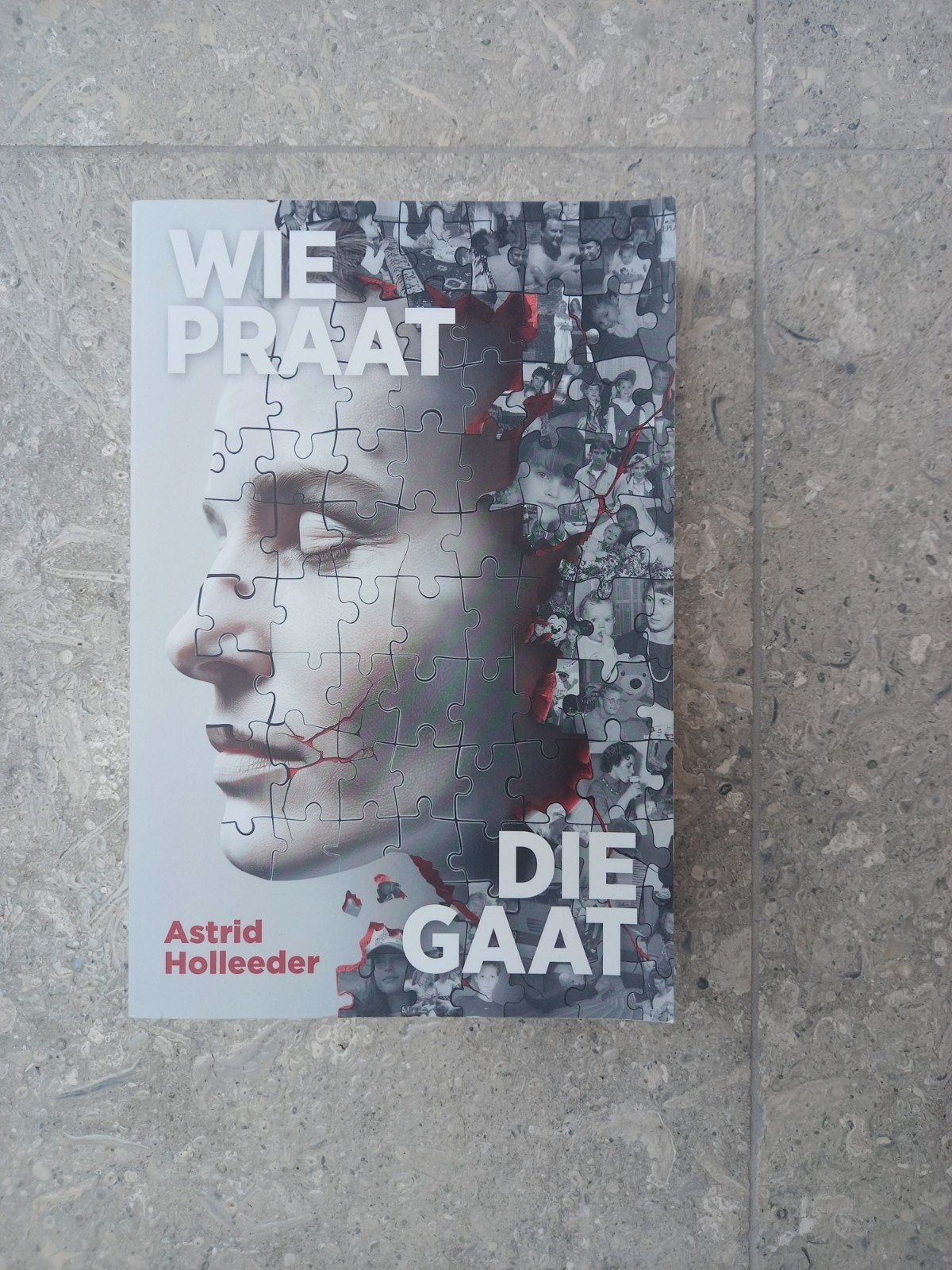 Wie Praat Die Gaat - Astrid Holleeder, Ophalen of Verzenden, Gelezen, Astrid Holleeder, Nederland