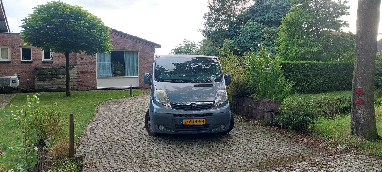 Opel Vivaro 2.5 Cdti 107KW DPF E4 2.9T 2009, Auto's, 145 pk, 4 cilinders, Grijs, Particulier