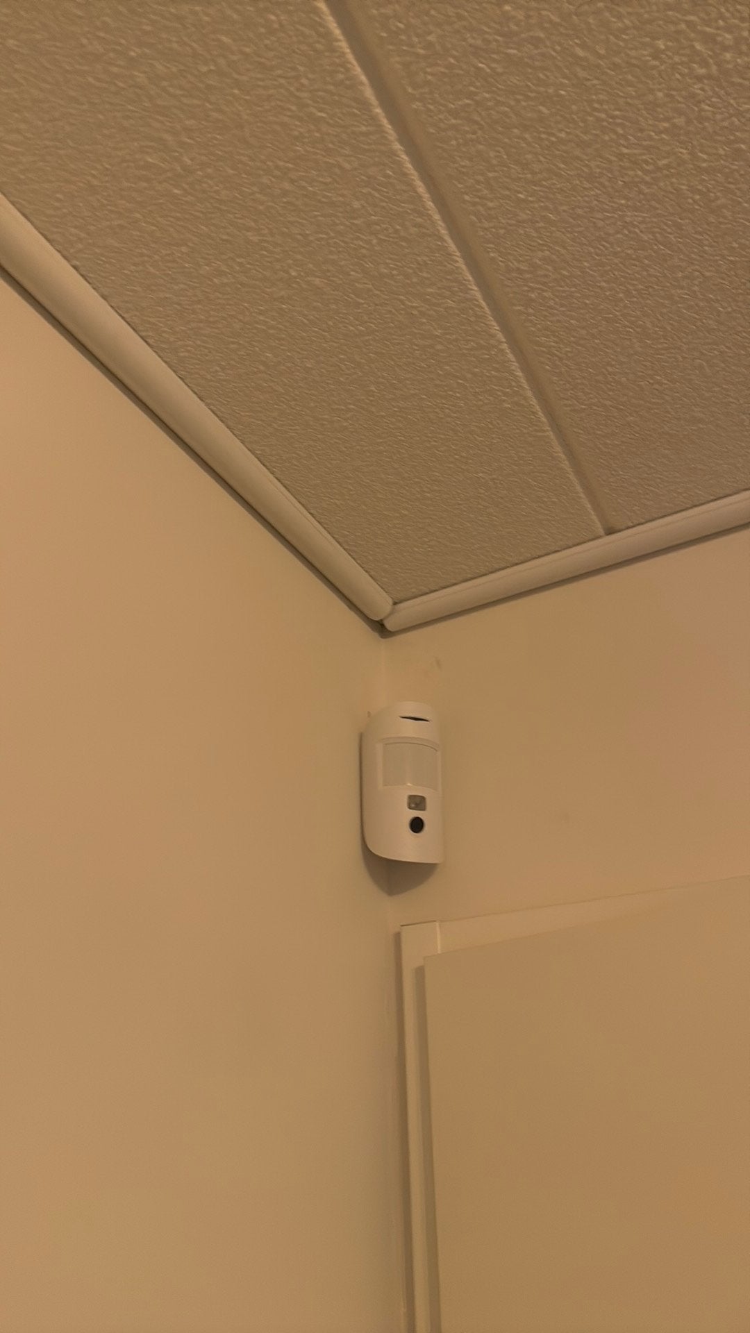 Professionele Alarm Systemen, Beweging, Nieuw, Ophalen of Verzenden, Compleet systeem