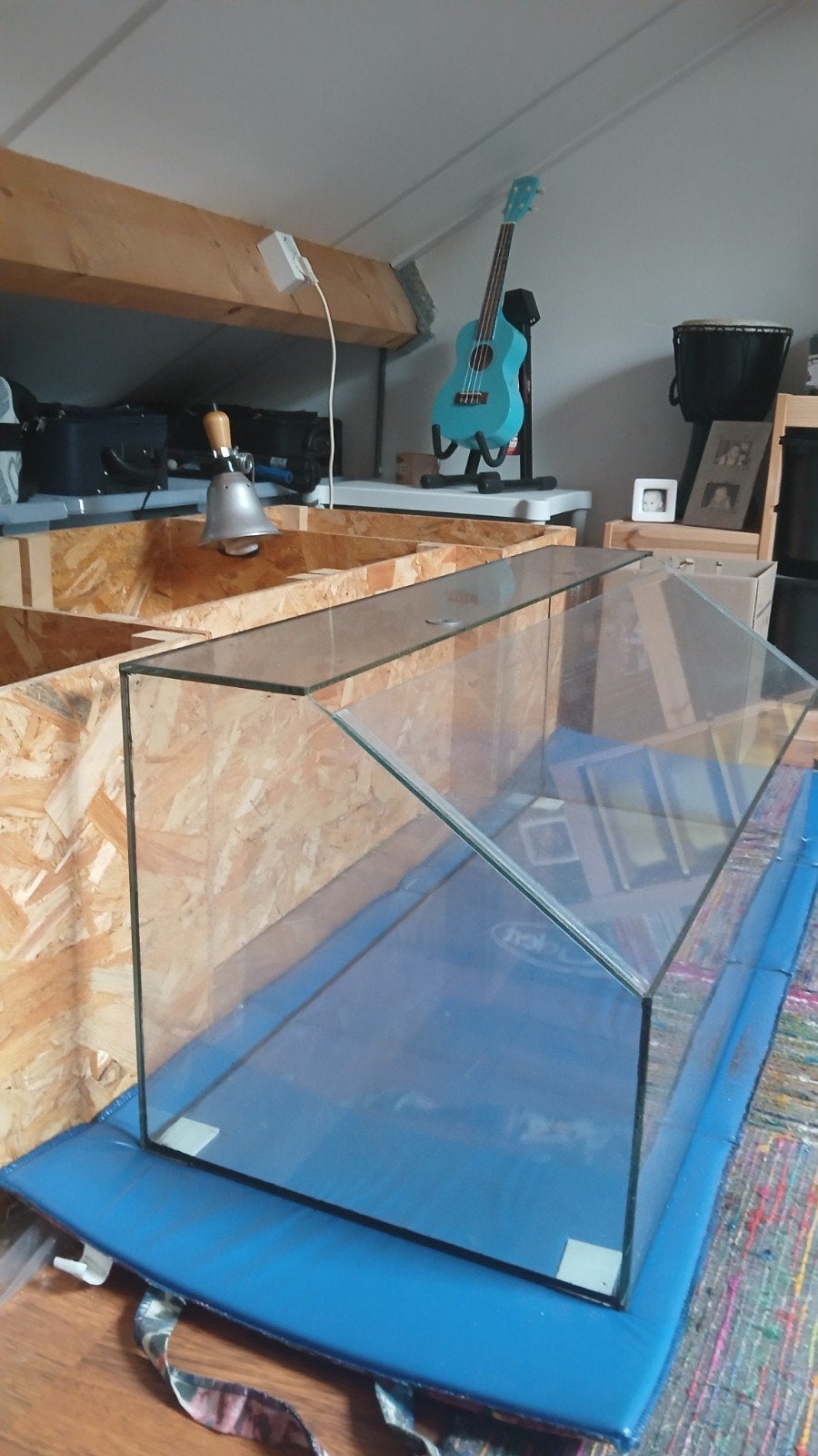 glazen terrarium met deksel, Ophalen, Gebruikt, Terrarium of Paludarium