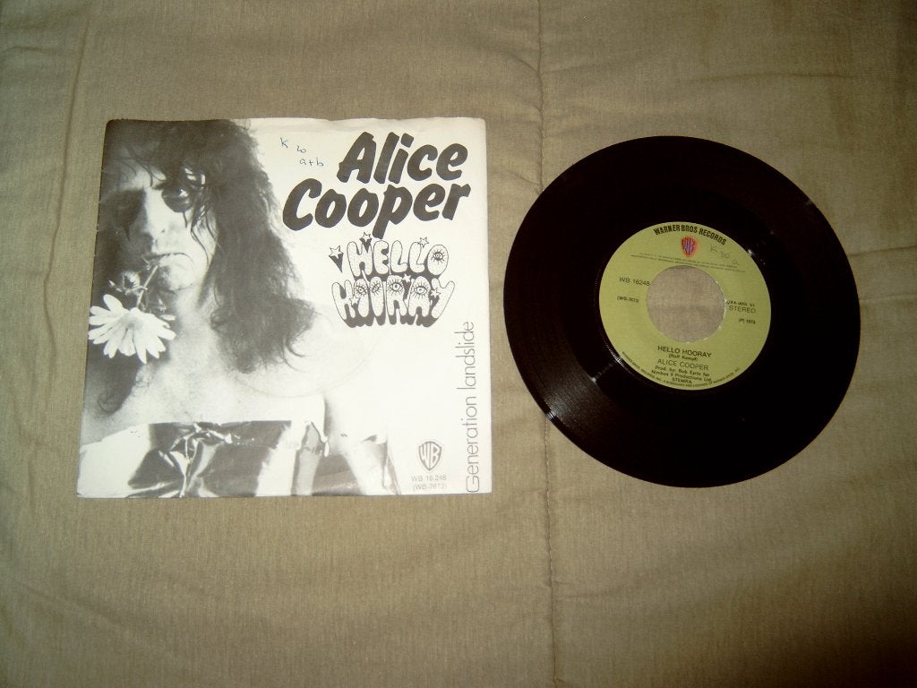 12 singles in diverse genres te koop (15), Gebruikt, 7 inch, Ophalen of Verzenden, Pop