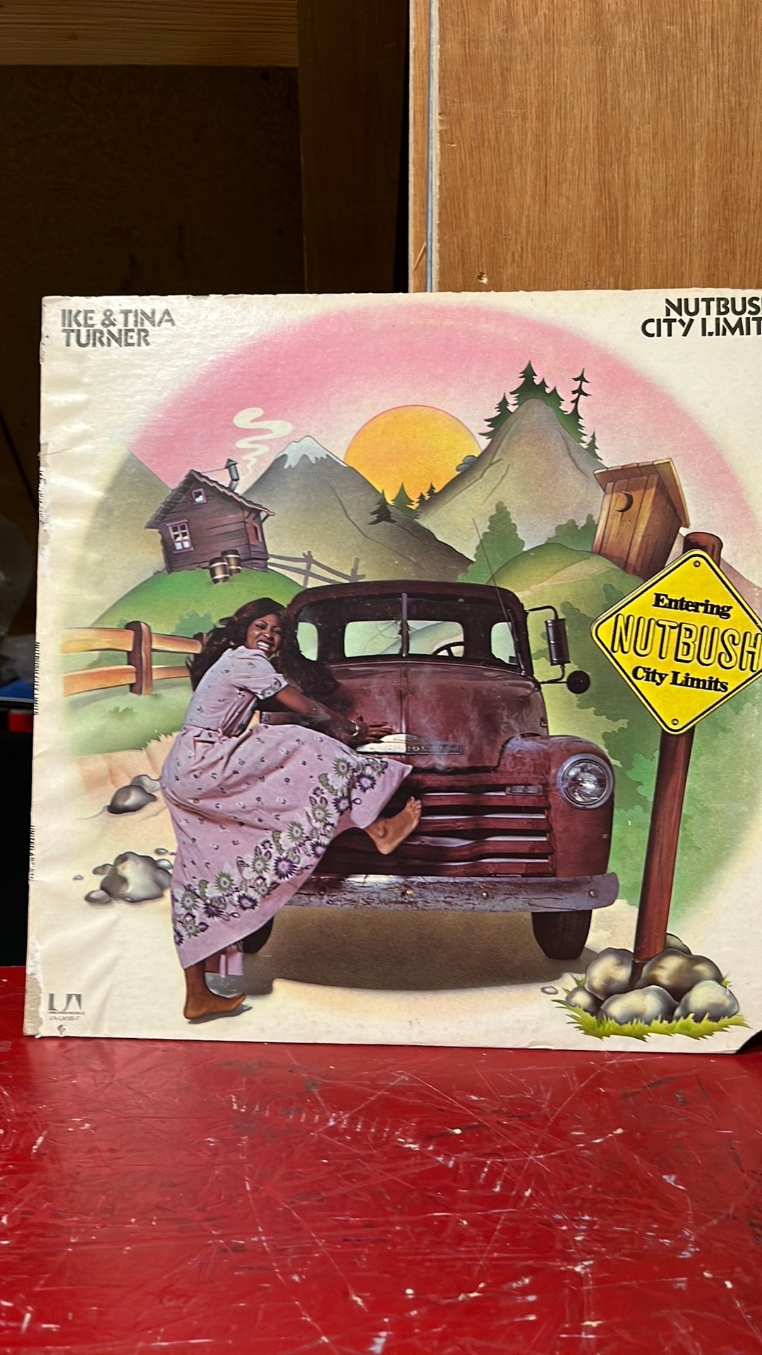 Ike & Tina Turner Nutbush city limits, Ophalen of Verzenden, Gebruikt, 12 inch