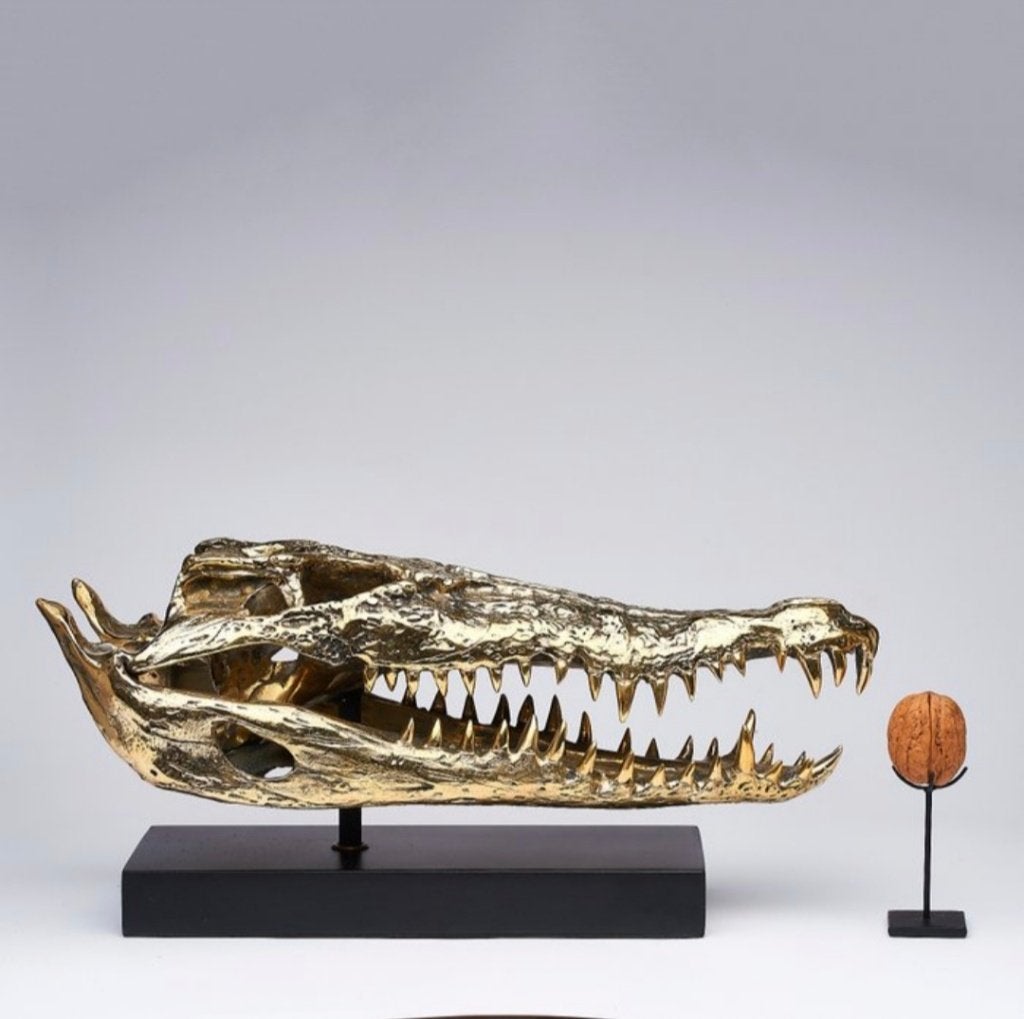 Sooka Sculptuur zoutwater Krokodil schedel 37cm Brons(Nieuw), Ophalen of Verzenden, 20 - 50 cm, Beeld, Goud