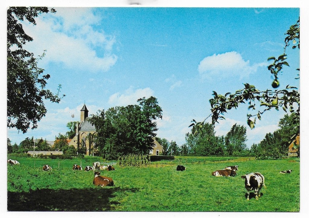 Ongelopen ansichtkaart Nederhemert - Zuid (B4880, Verzamelen, Ophalen of Verzenden, 1980 tot heden, Ongelopen