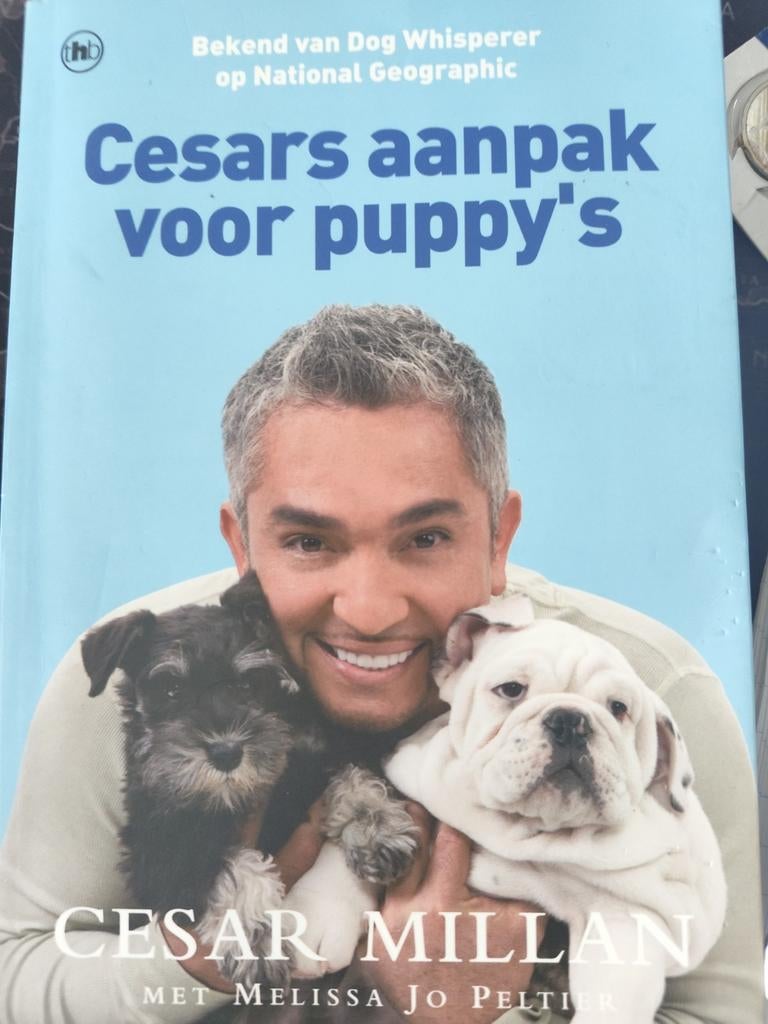 Cesars aanpak voor puppy's - Cesar Millan, Boeken, Ophalen of Verzenden, Gelezen, Honden, Cesar Millan