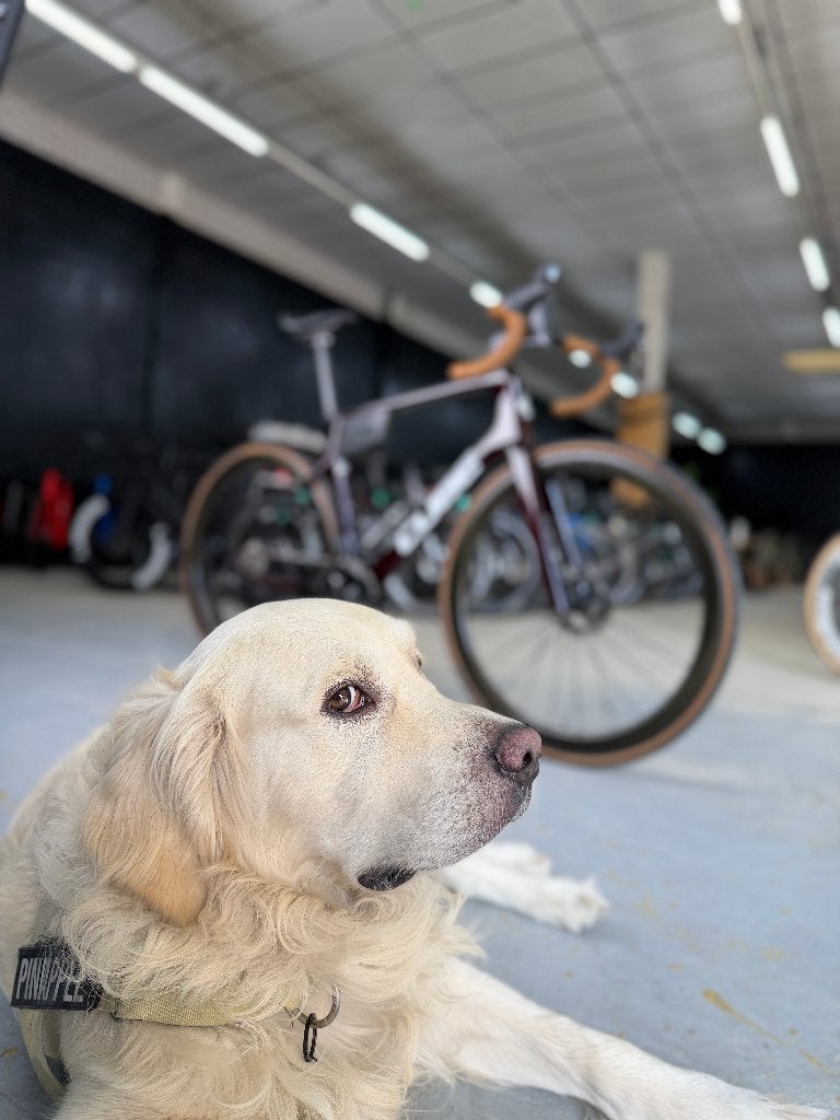 Cube Agree C:62 SLT Dura Ace Di2 Carbon Racefiets, Ophalen, Zo goed als nieuw, Overige typen