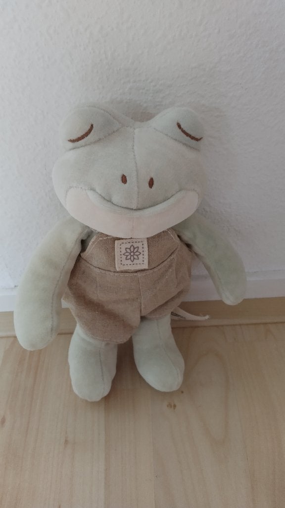 Knuffel kikker, Kikker, Groen, Ophalen of Verzenden, Zo goed als nieuw