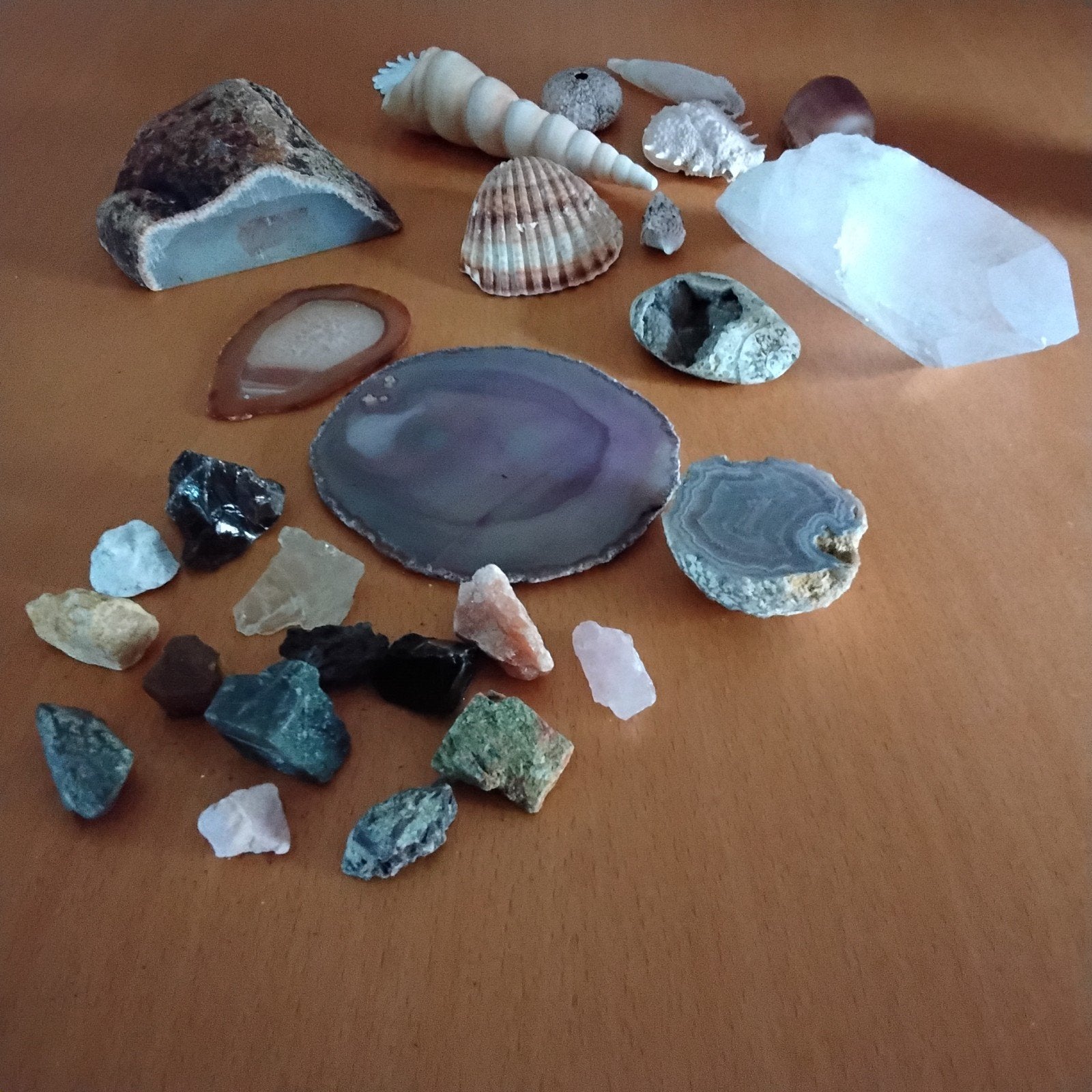 Diverse mineralen, stenen en schelpen, Ophalen of Verzenden