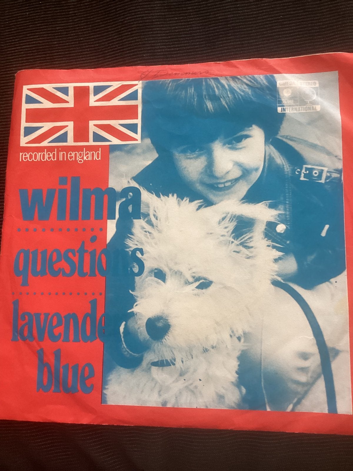 Wilma - Questions, Ophalen of Verzenden, Zo goed als nieuw, Nederlandstalig