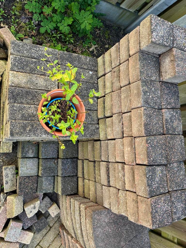 Gratis af te halen: Gebruikte terrastegels en klinkers, Tuin en Terras, Ophalen, Gebruikt, Klinkers, 10 m² of meer
