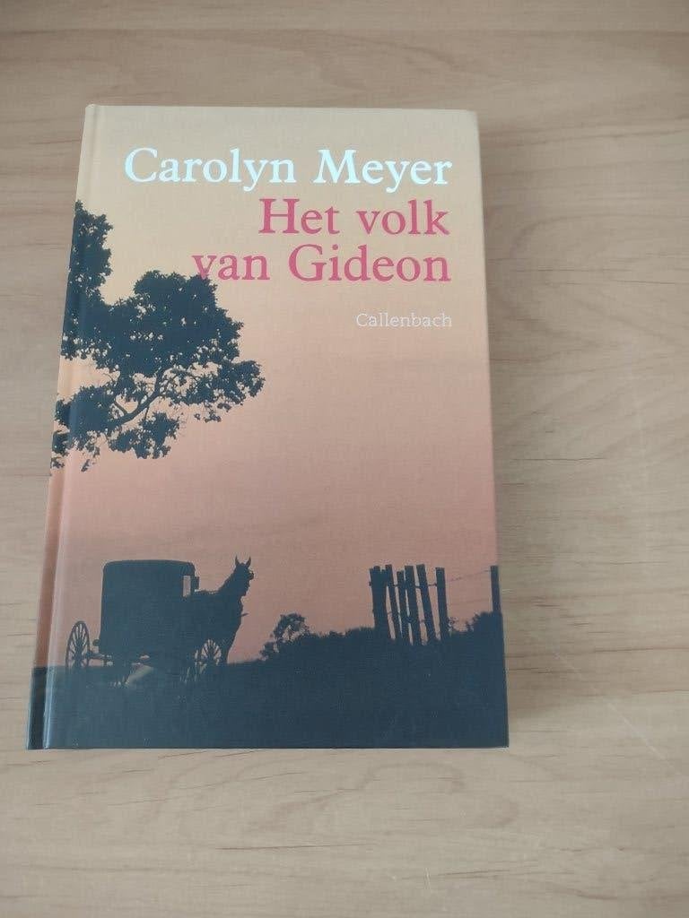 Het volk van Gideon- Carolyn Meyer, Boeken, Kinderboeken | Jeugd | 13 jaar en ouder, Zo goed als nieuw, Ophalen of Verzenden