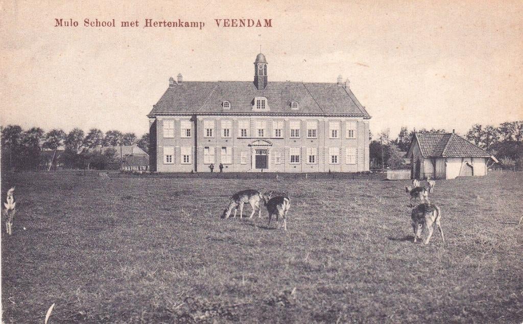 VEENDAM MULO SCHOOL, Ophalen of Verzenden, Voor 1920, Noord-Brabant