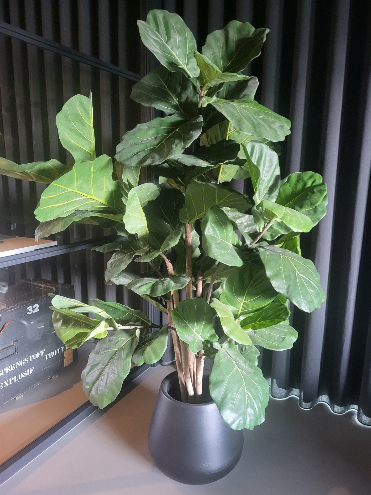 Grote kunstplant 1.65m inclusief pot - Ficus Lyrata, Ophalen, Binnen, Groen, Onderhoudsvrij